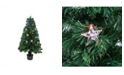 Northlight 4' Pre-Lit LED Artificial Christmas Tree With Color Changing Stars and stand